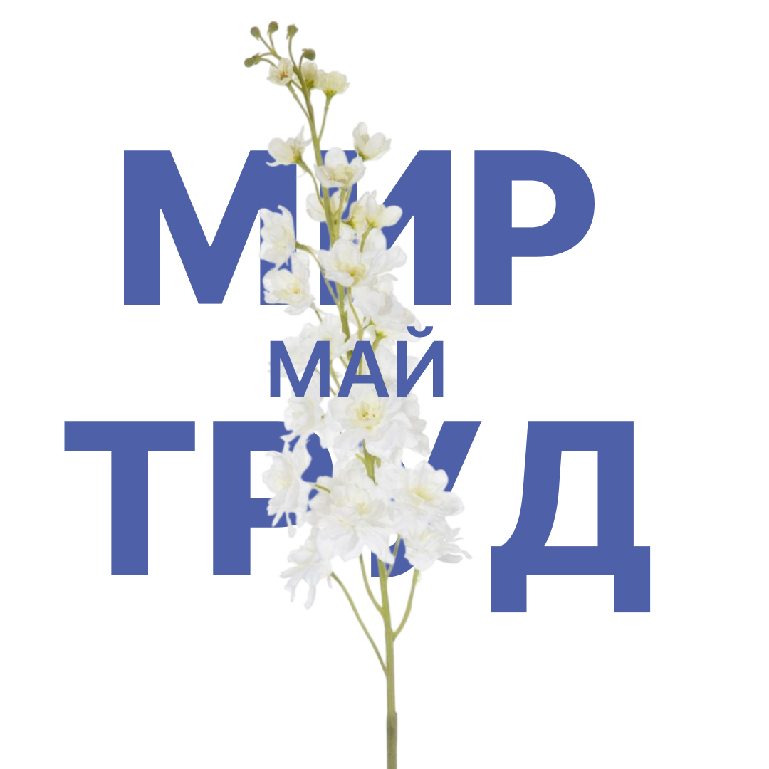 График работы 